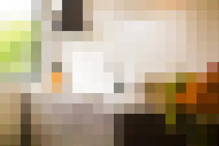 Dijkhorstheem 45 Veenendaal thumbnail 9