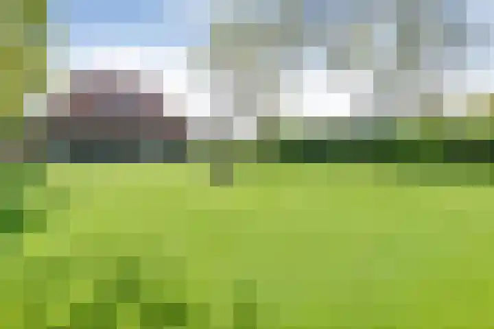 Dijkhuizen 13 Ruinerwold thumbnail 104