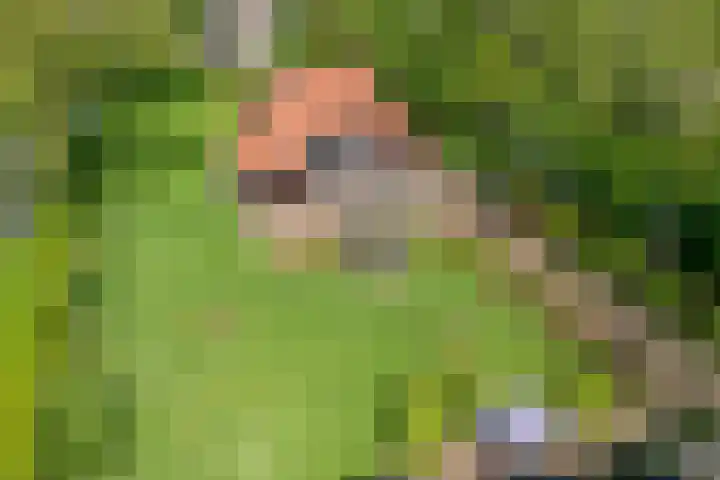 Dijkhuizen 13 Ruinerwold thumbnail 107