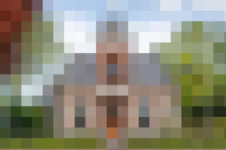 Dijkhuizen 13 Ruinerwold thumbnail 111