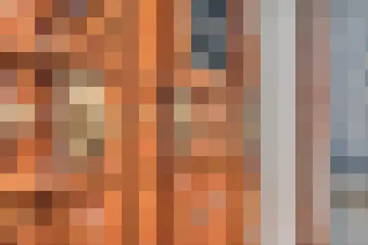 Dijkhuizen 13 Ruinerwold thumbnail 113