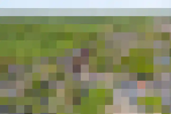 Dijkhuizen 13 Ruinerwold thumbnail 119
