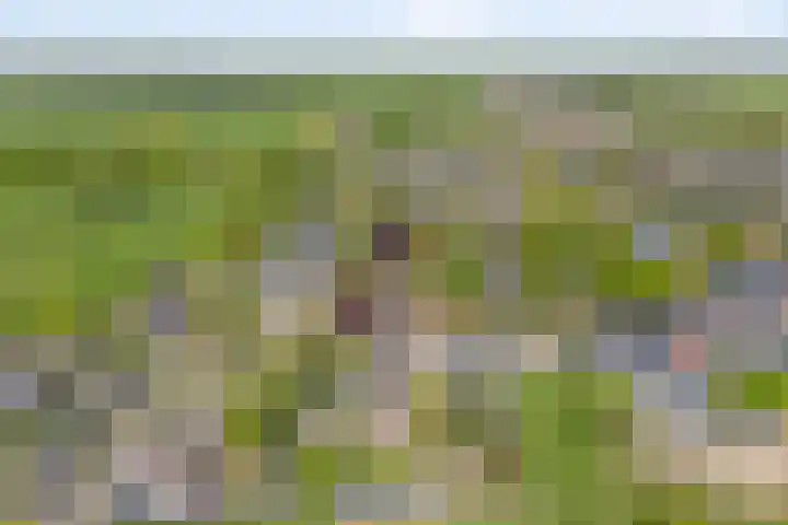 Dijkhuizen 13 Ruinerwold thumbnail 120