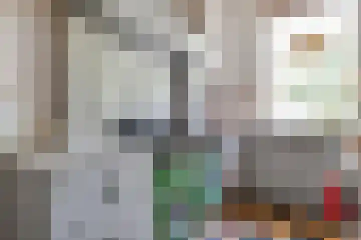 Dijkhuizen 13 Ruinerwold thumbnail 29