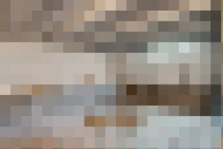 Dijkhuizen 13 Ruinerwold thumbnail 43