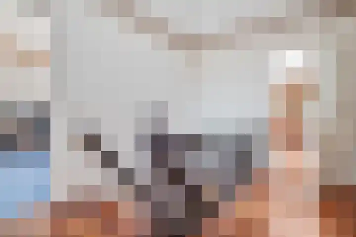 Dijkhuizen 13 Ruinerwold thumbnail 45