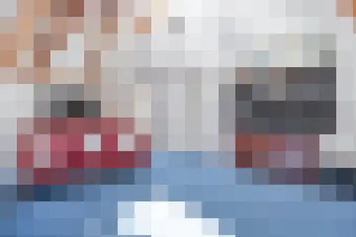 Dijkhuizen 13 Ruinerwold thumbnail 48