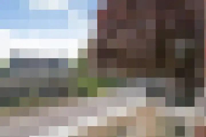 Dijkhuizen 13 Ruinerwold thumbnail 53