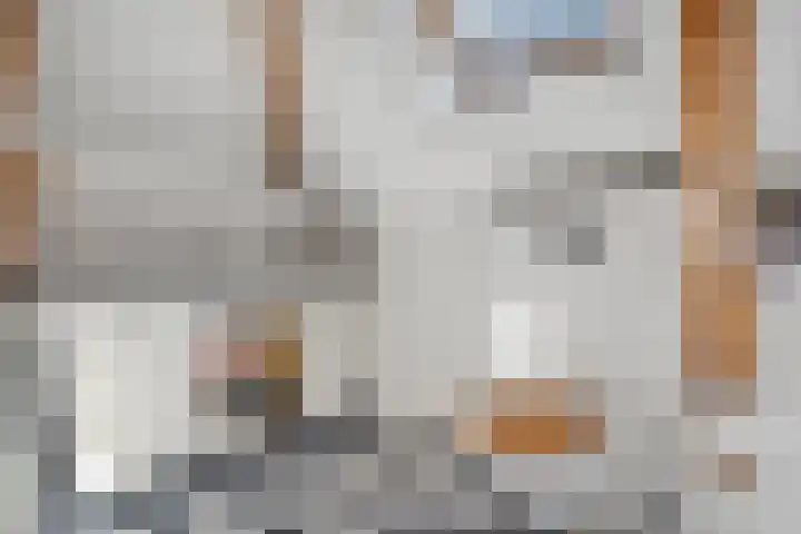 Dijkhuizen 13 Ruinerwold thumbnail 63
