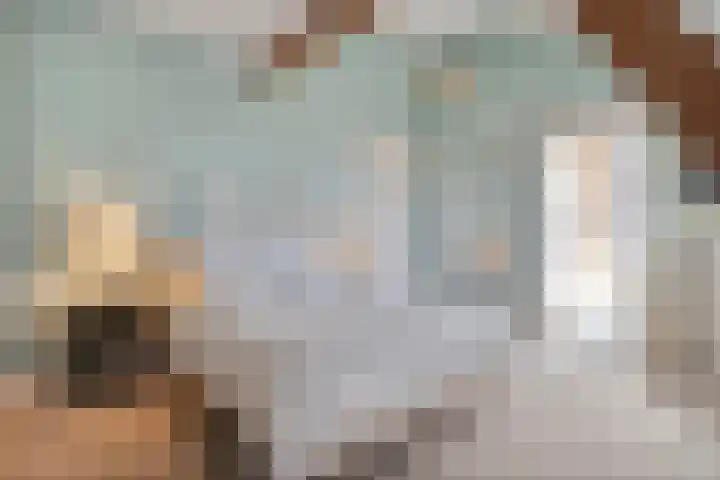 Dijkhuizen 13 Ruinerwold thumbnail 66
