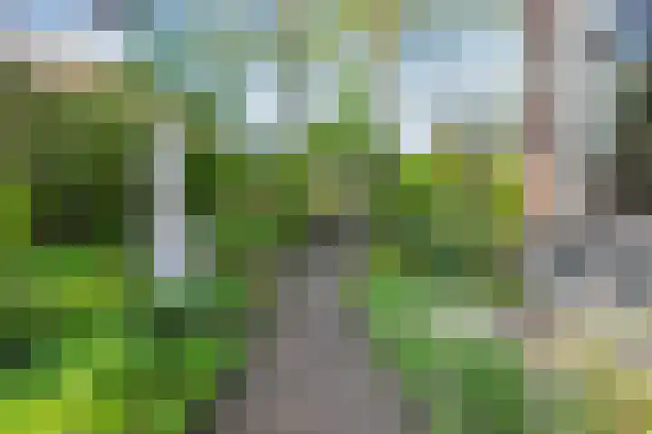 Dijkhuizen 13 Ruinerwold thumbnail 73
