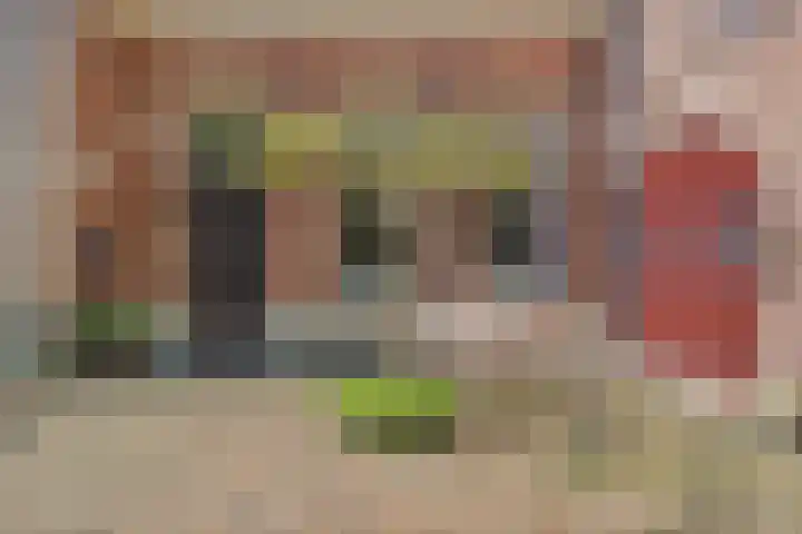 Dijkhuizen 13 Ruinerwold thumbnail 77