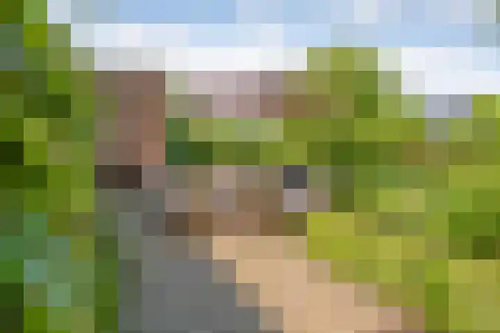Dijkhuizen 13 Ruinerwold thumbnail 80