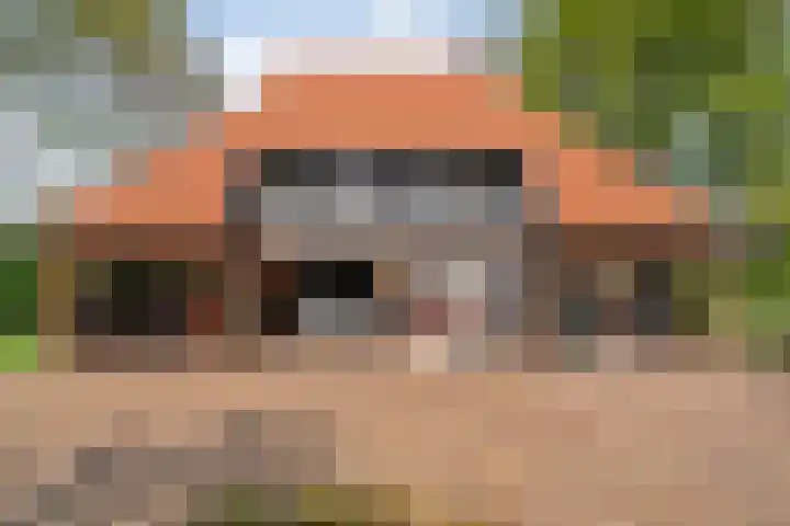 Dijkhuizen 13 Ruinerwold thumbnail 85