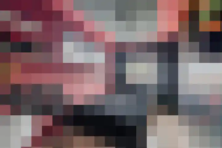 Dijkhuizen 36 Ruinerwold thumbnail 12