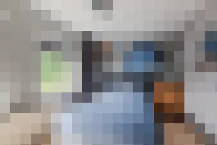 Dijkhuizen 36 Ruinerwold thumbnail 14