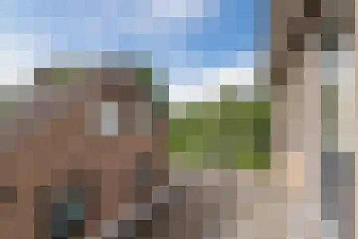Dijkhuizen 36 Ruinerwold thumbnail 18
