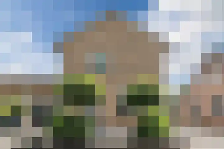 Dijkhuizen 36 Ruinerwold thumbnail 22