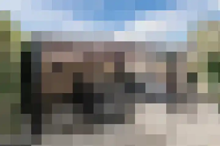 Dijkhuizen 36 Ruinerwold thumbnail 24