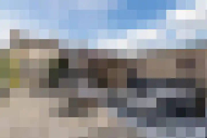 Dijkhuizen 36 Ruinerwold thumbnail 25