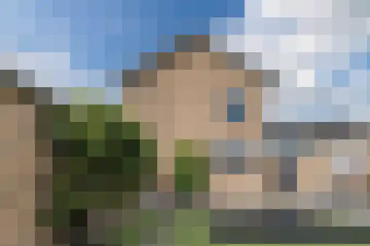 Dijkhuizen 36 Ruinerwold thumbnail 26