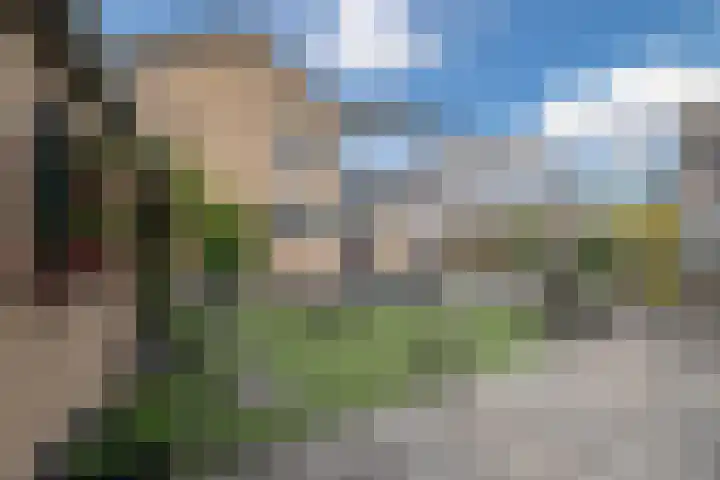 Dijkhuizen 36 Ruinerwold thumbnail 27