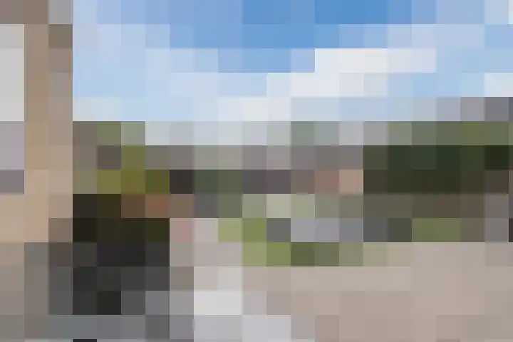 Dijkhuizen 36 Ruinerwold thumbnail 28