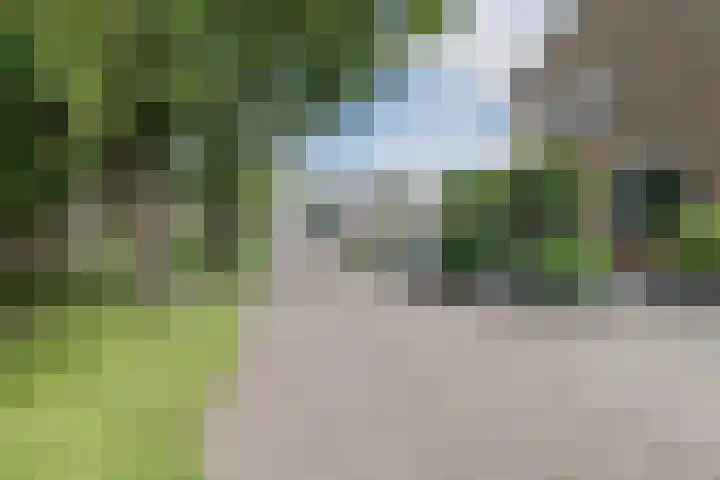 Dijkhuizen 36 Ruinerwold thumbnail 29