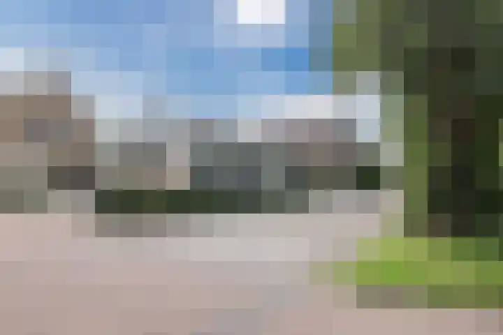 Dijkhuizen 36 Ruinerwold thumbnail 30