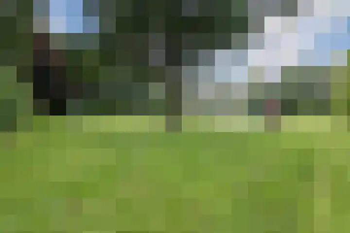 Dijkhuizen 36 Ruinerwold thumbnail 32