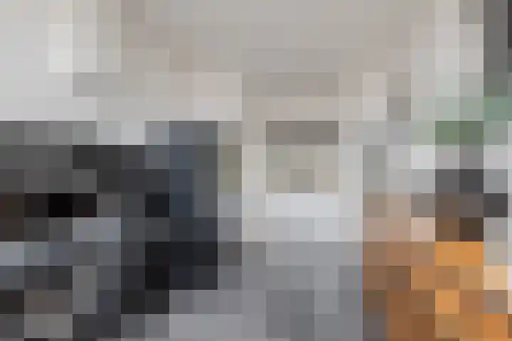 Dijkhuizen 36 Ruinerwold thumbnail 9