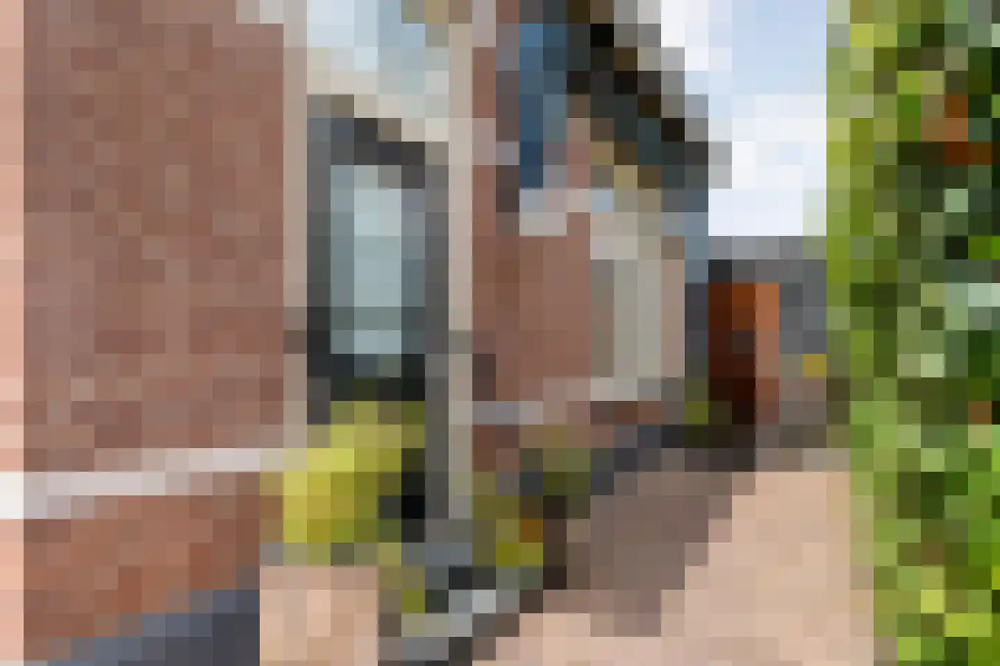 Dijkhuizen 49 Ruinerwold thumbnail 11
