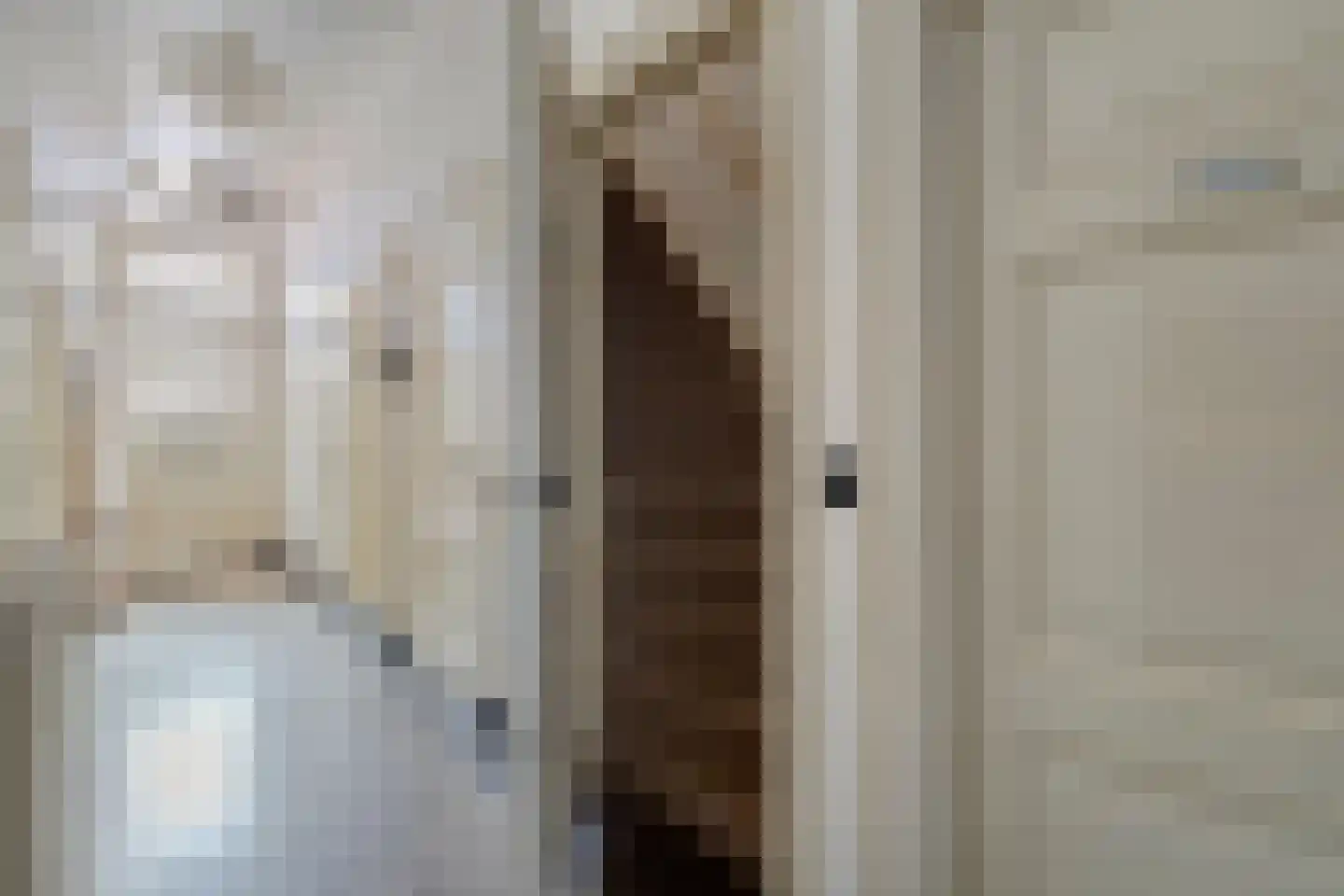 Dijkhuizen 49 Ruinerwold thumbnail 12