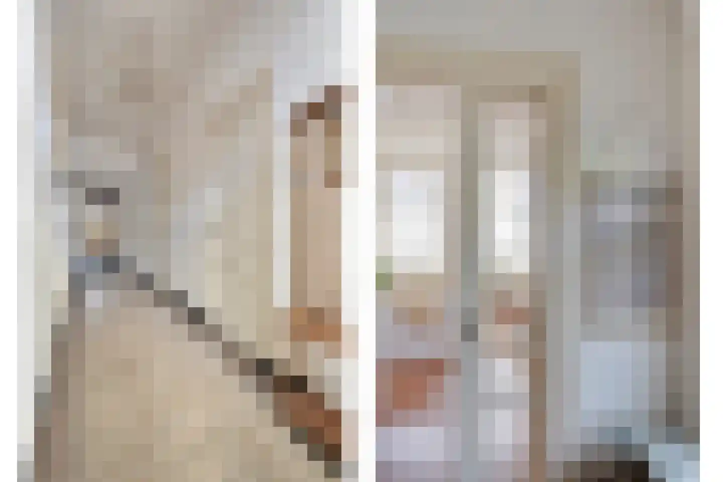 Dijkhuizen 49 Ruinerwold thumbnail 14
