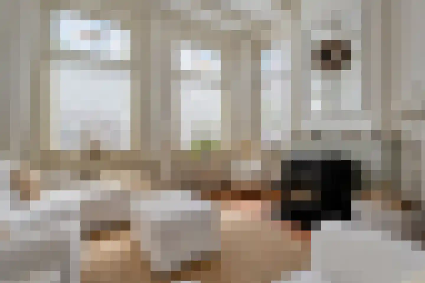 Dijkhuizen 49 Ruinerwold thumbnail 17