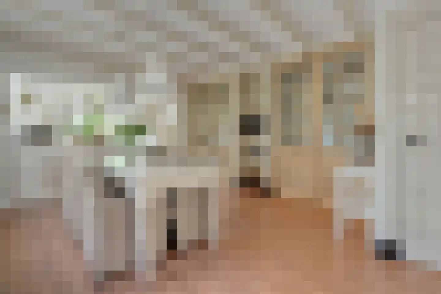 Dijkhuizen 49 Ruinerwold thumbnail 19