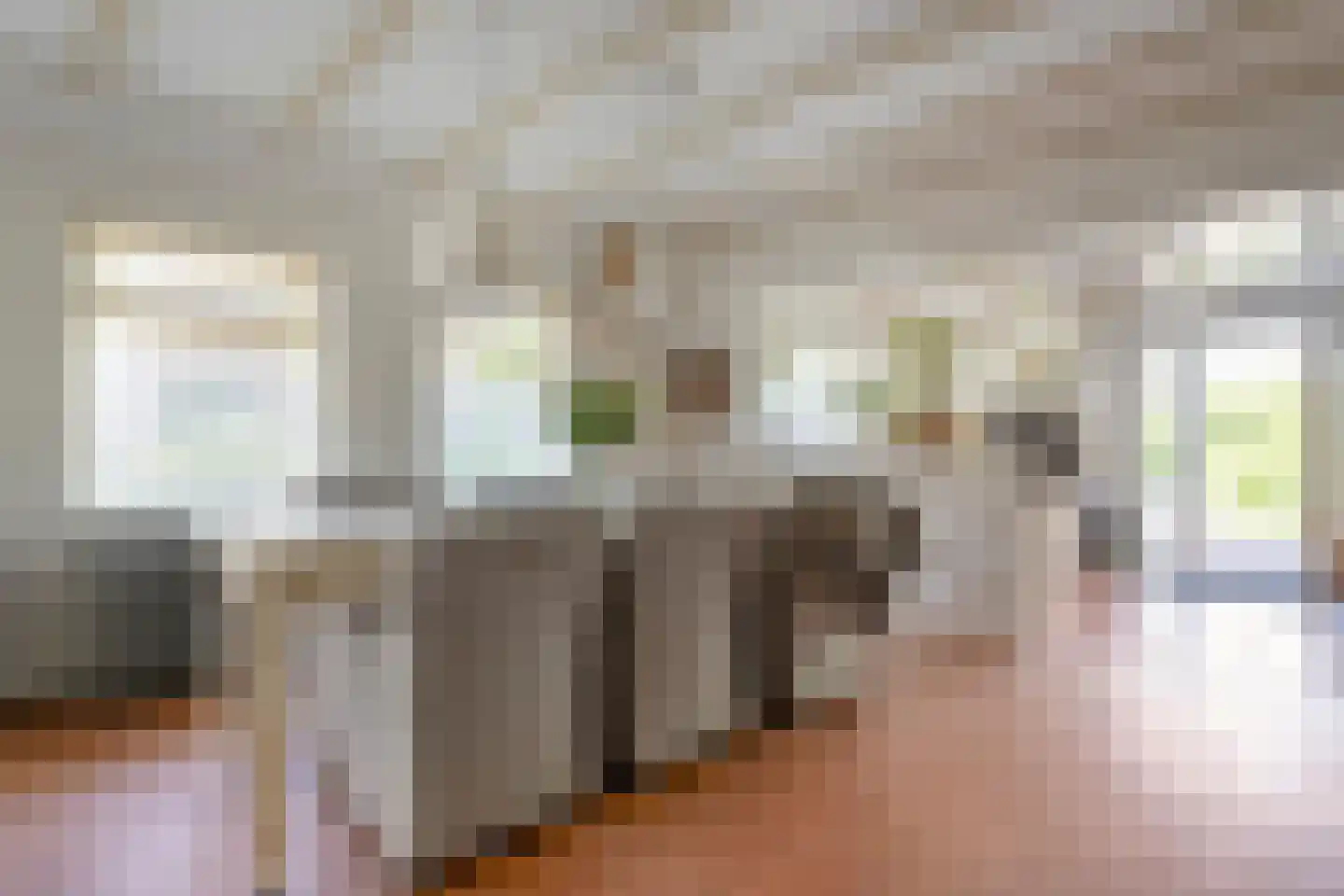 Dijkhuizen 49 Ruinerwold thumbnail 20