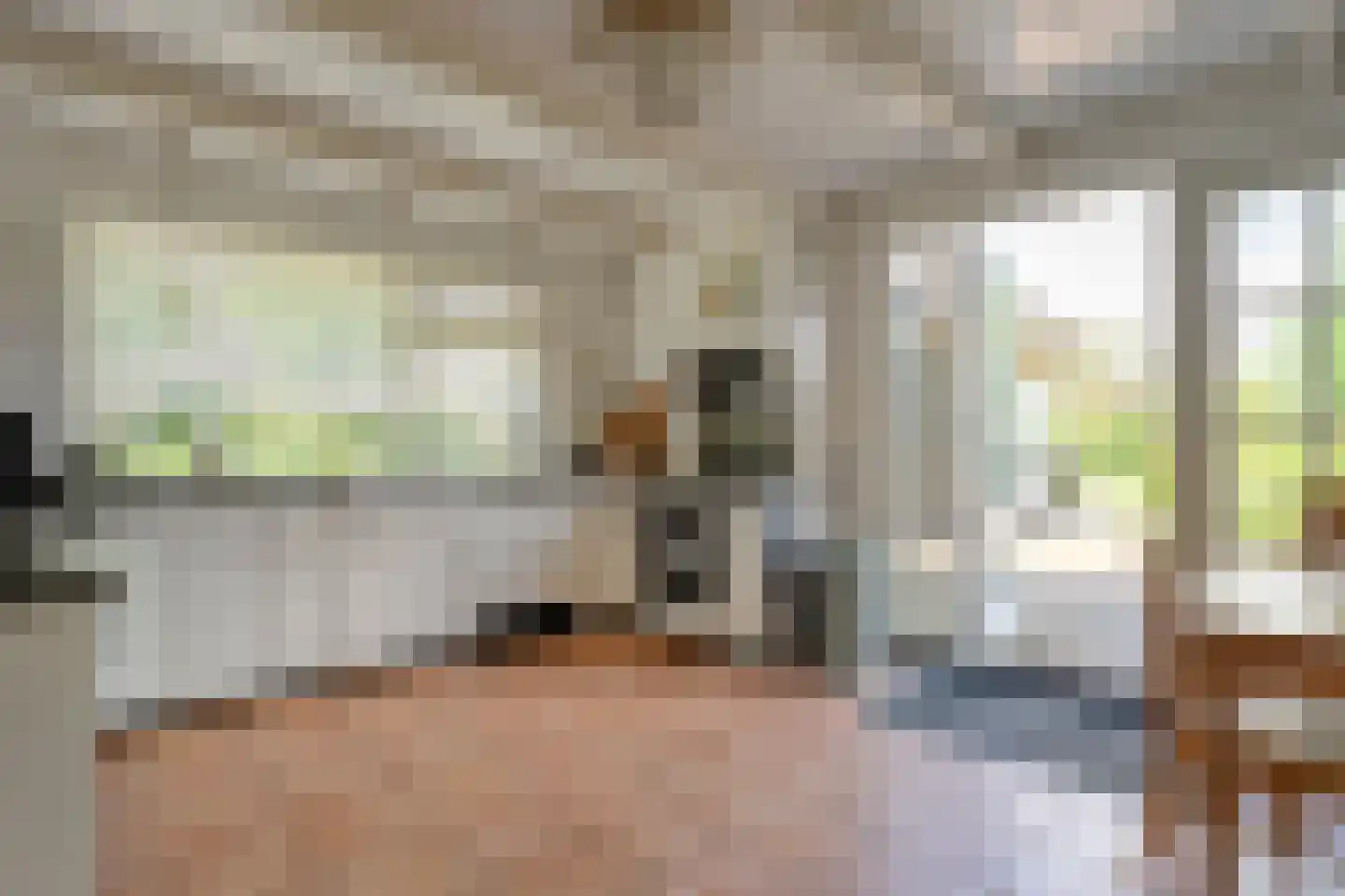 Dijkhuizen 49 Ruinerwold thumbnail 24