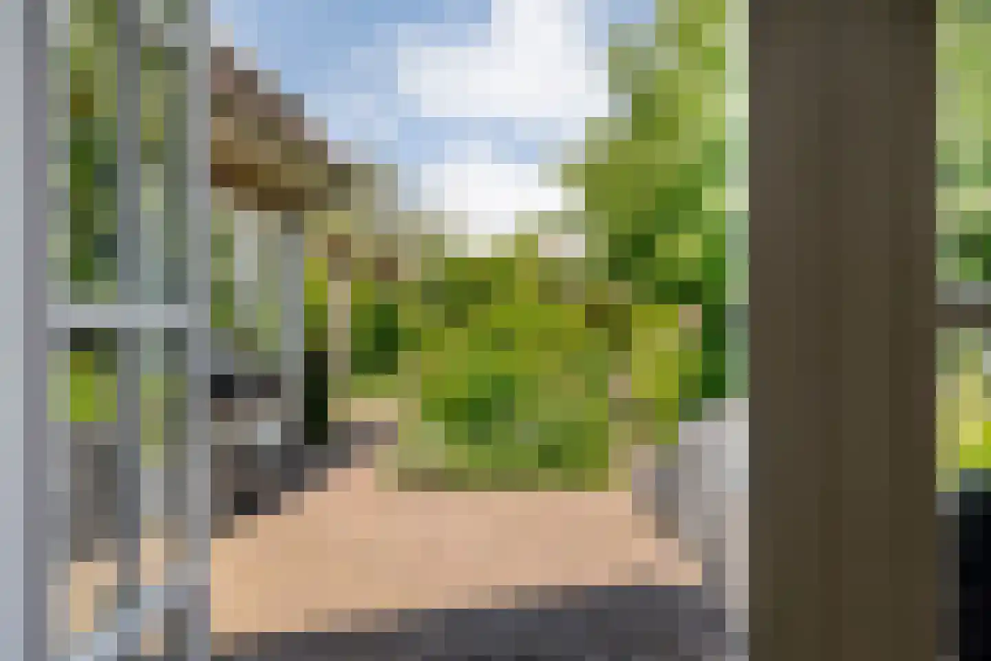 Dijkhuizen 49 Ruinerwold thumbnail 25