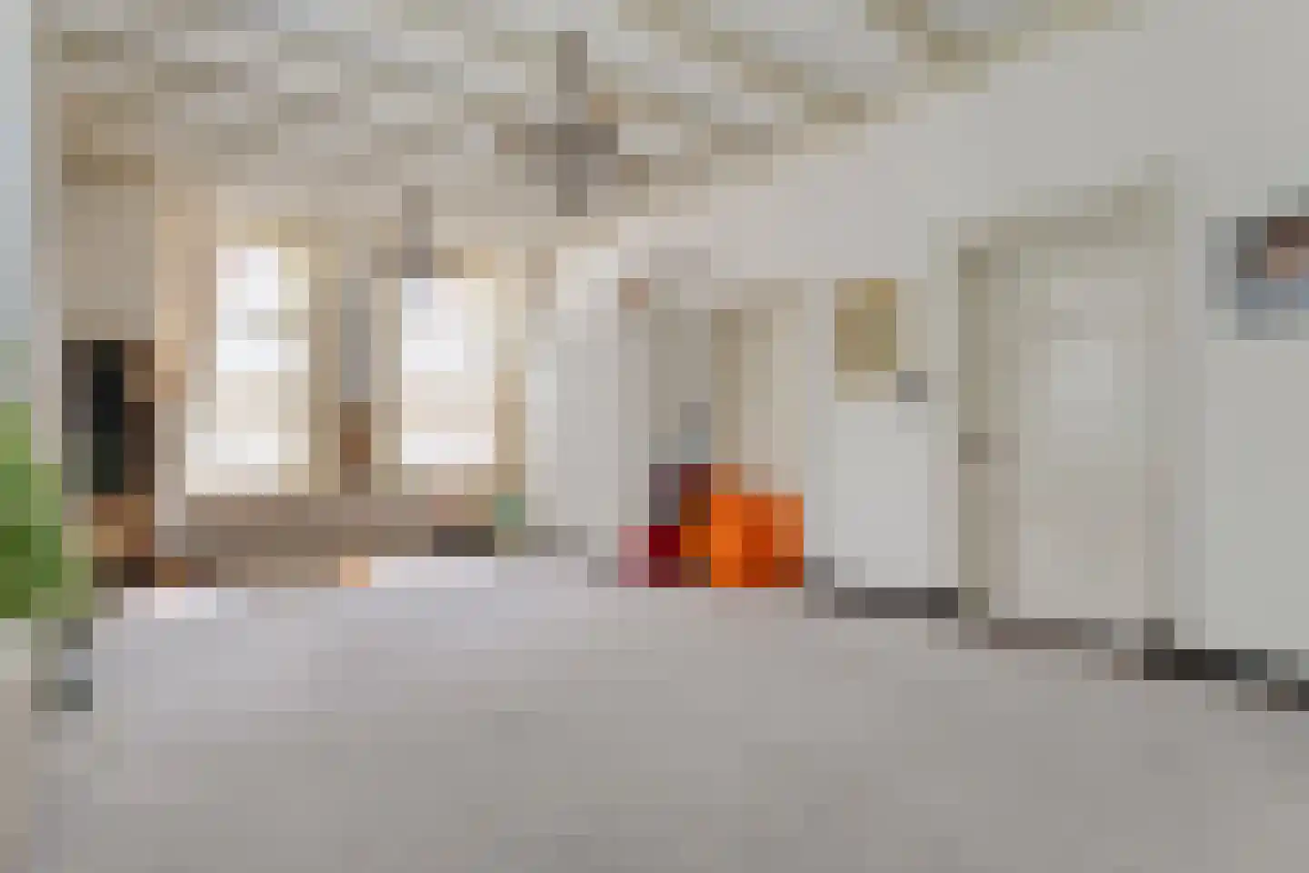 Dijkhuizen 49 Ruinerwold thumbnail 27