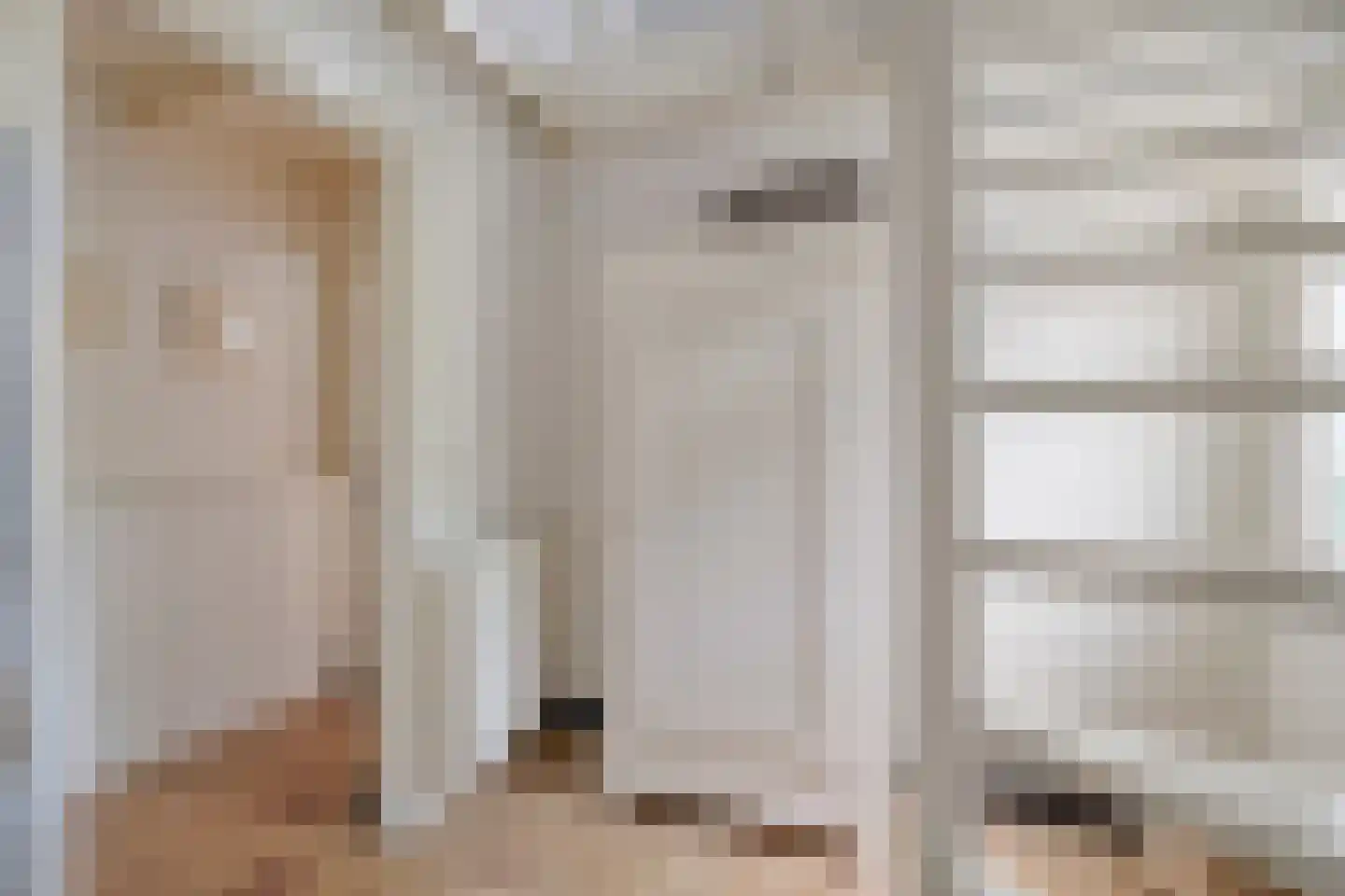 Dijkhuizen 49 Ruinerwold thumbnail 30