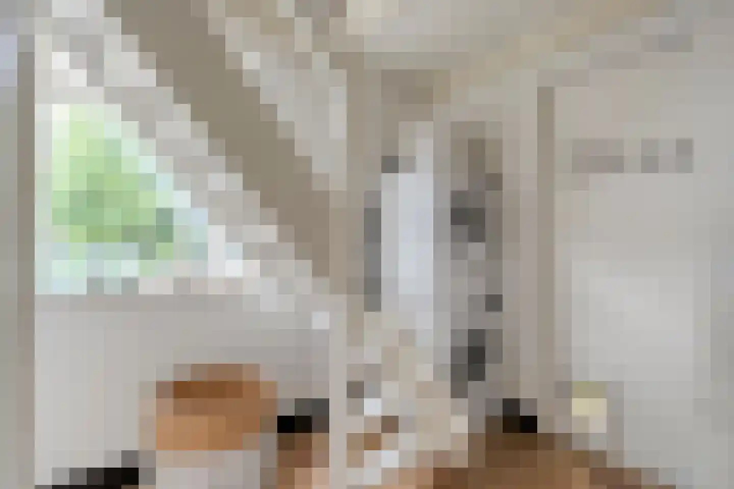 Dijkhuizen 49 Ruinerwold thumbnail 31