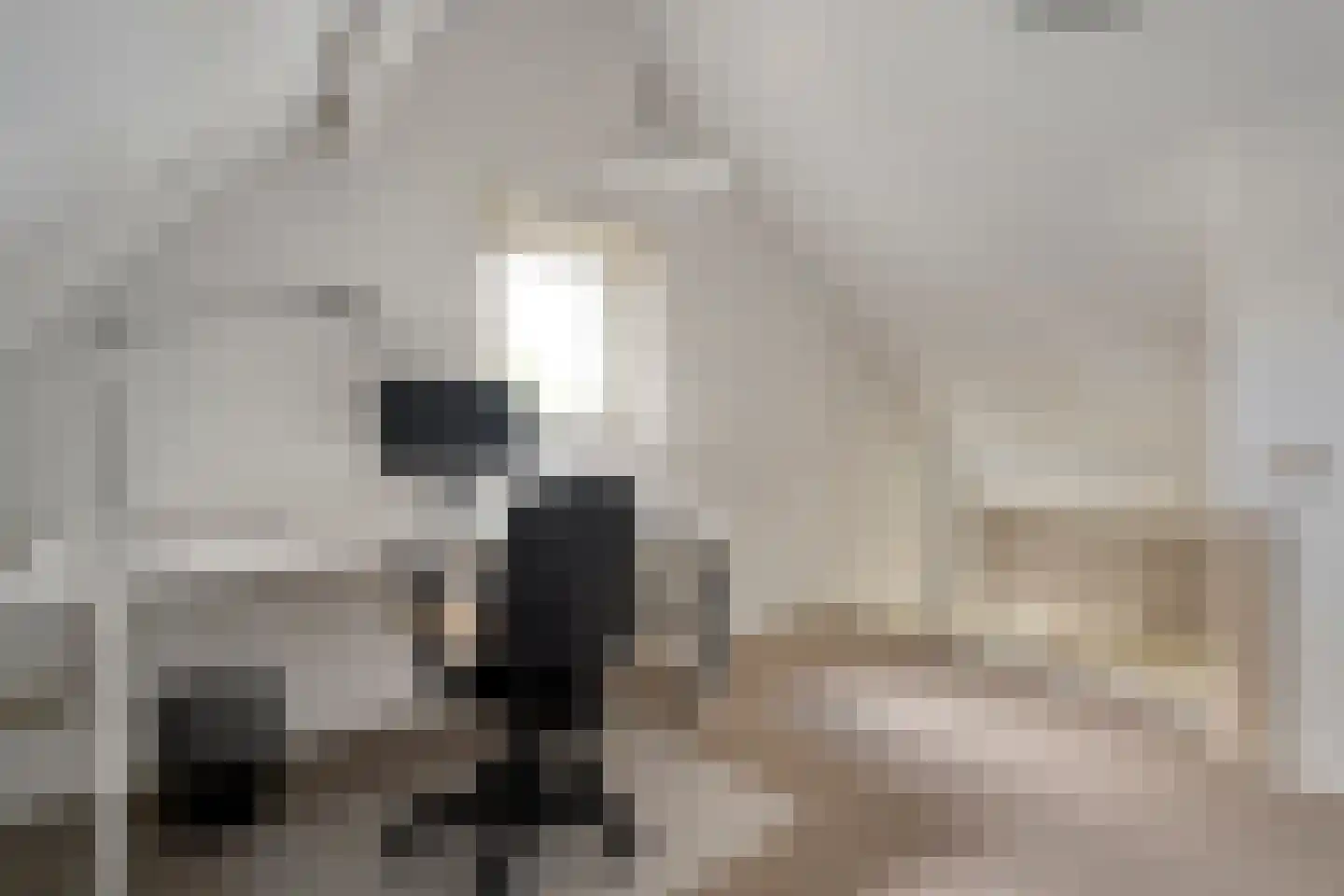 Dijkhuizen 49 Ruinerwold thumbnail 32