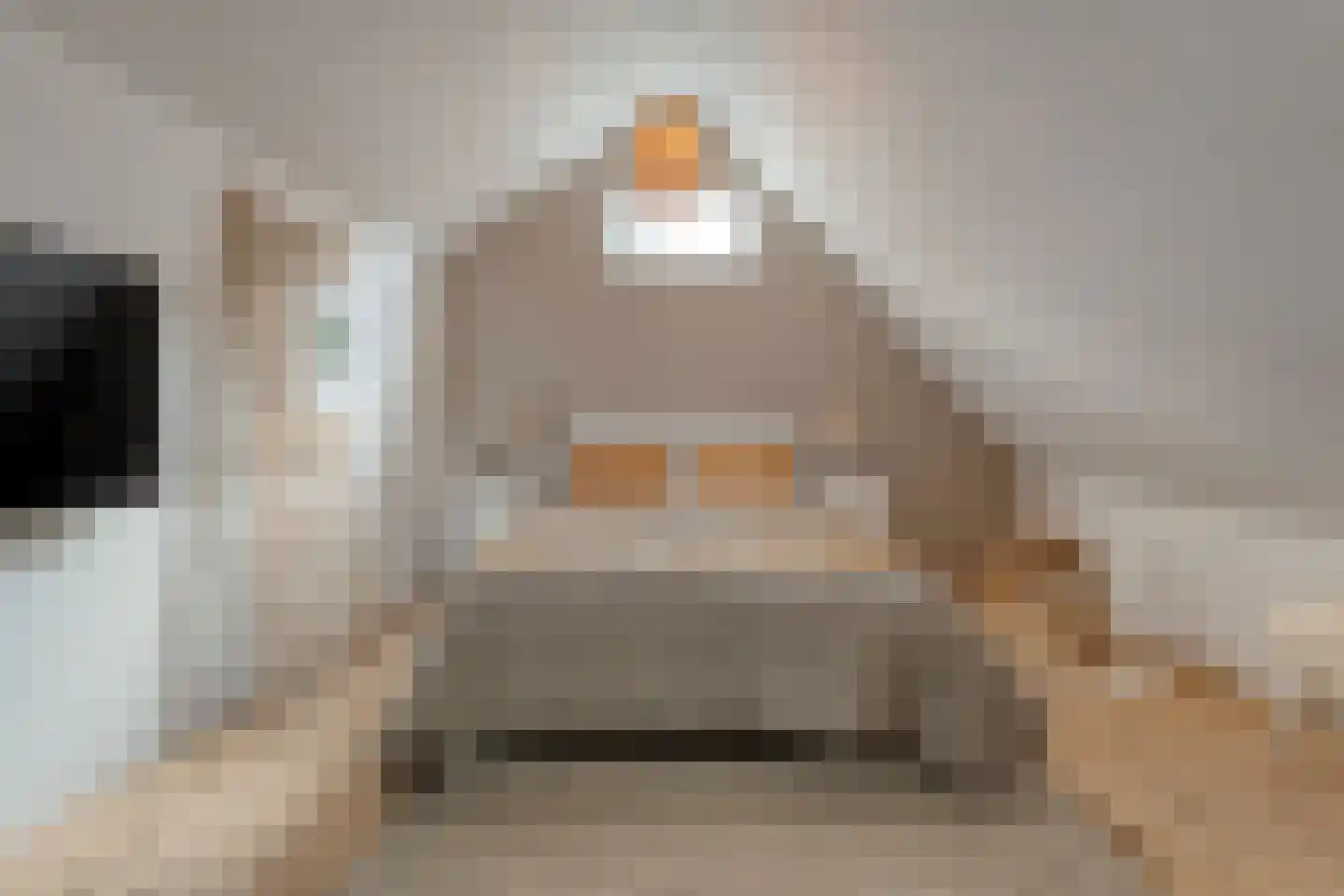Dijkhuizen 49 Ruinerwold thumbnail 33