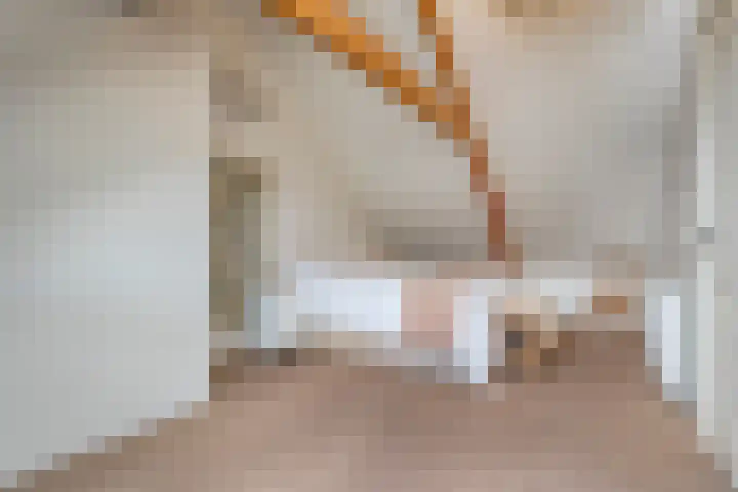 Dijkhuizen 49 Ruinerwold thumbnail 35