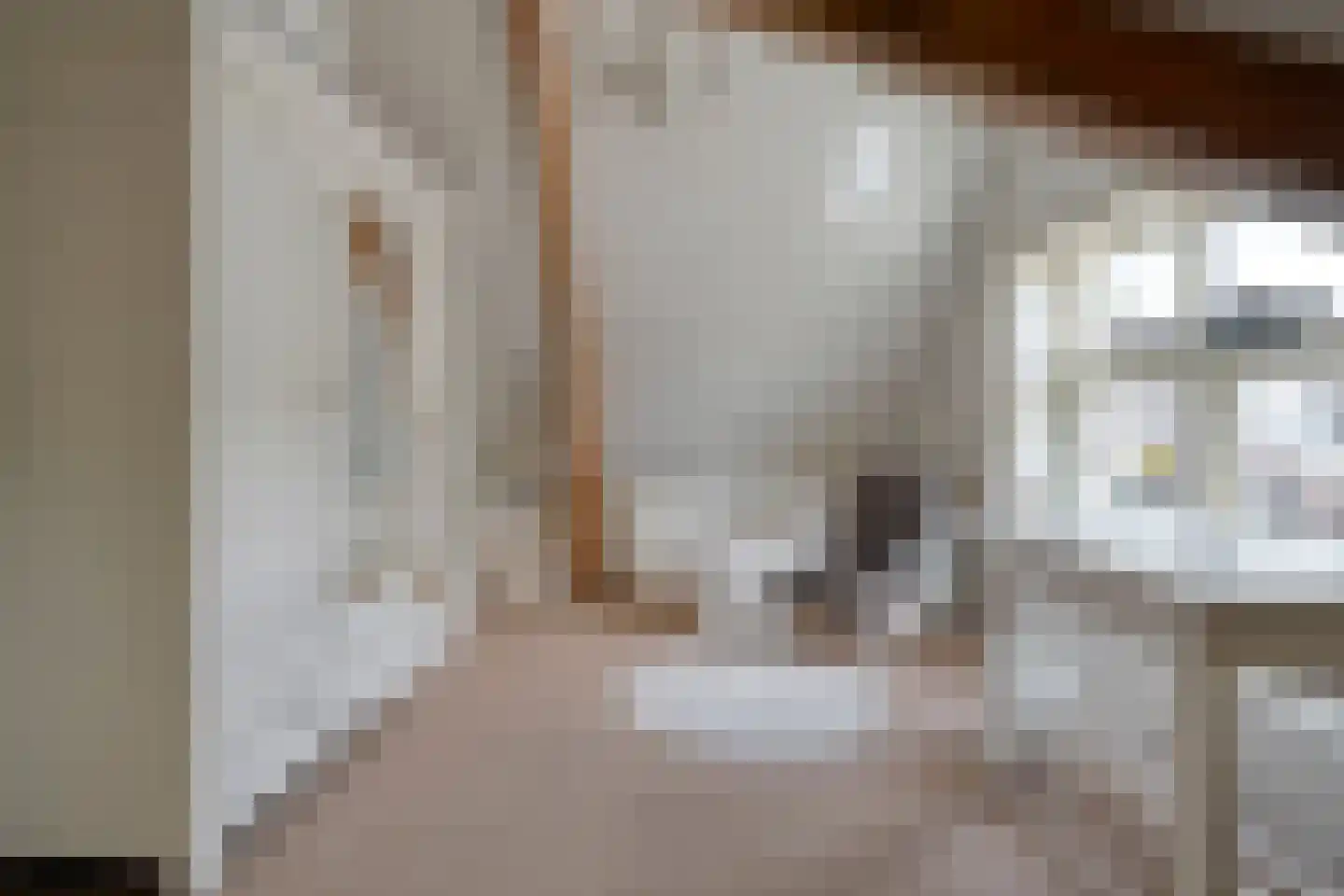 Dijkhuizen 49 Ruinerwold thumbnail 38