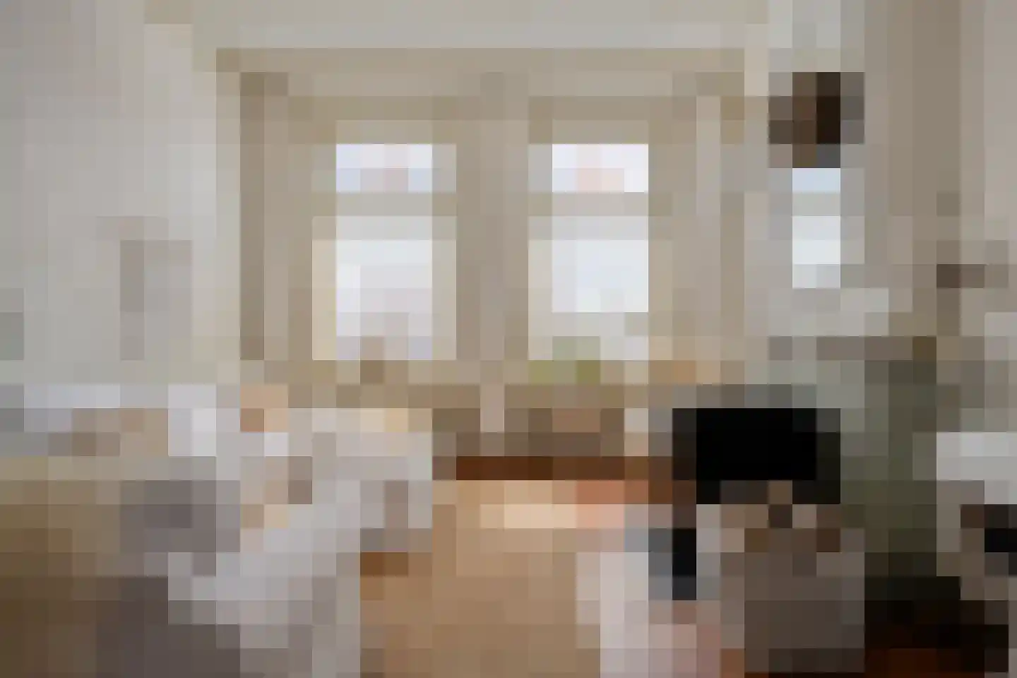 Dijkhuizen 49 Ruinerwold thumbnail 4