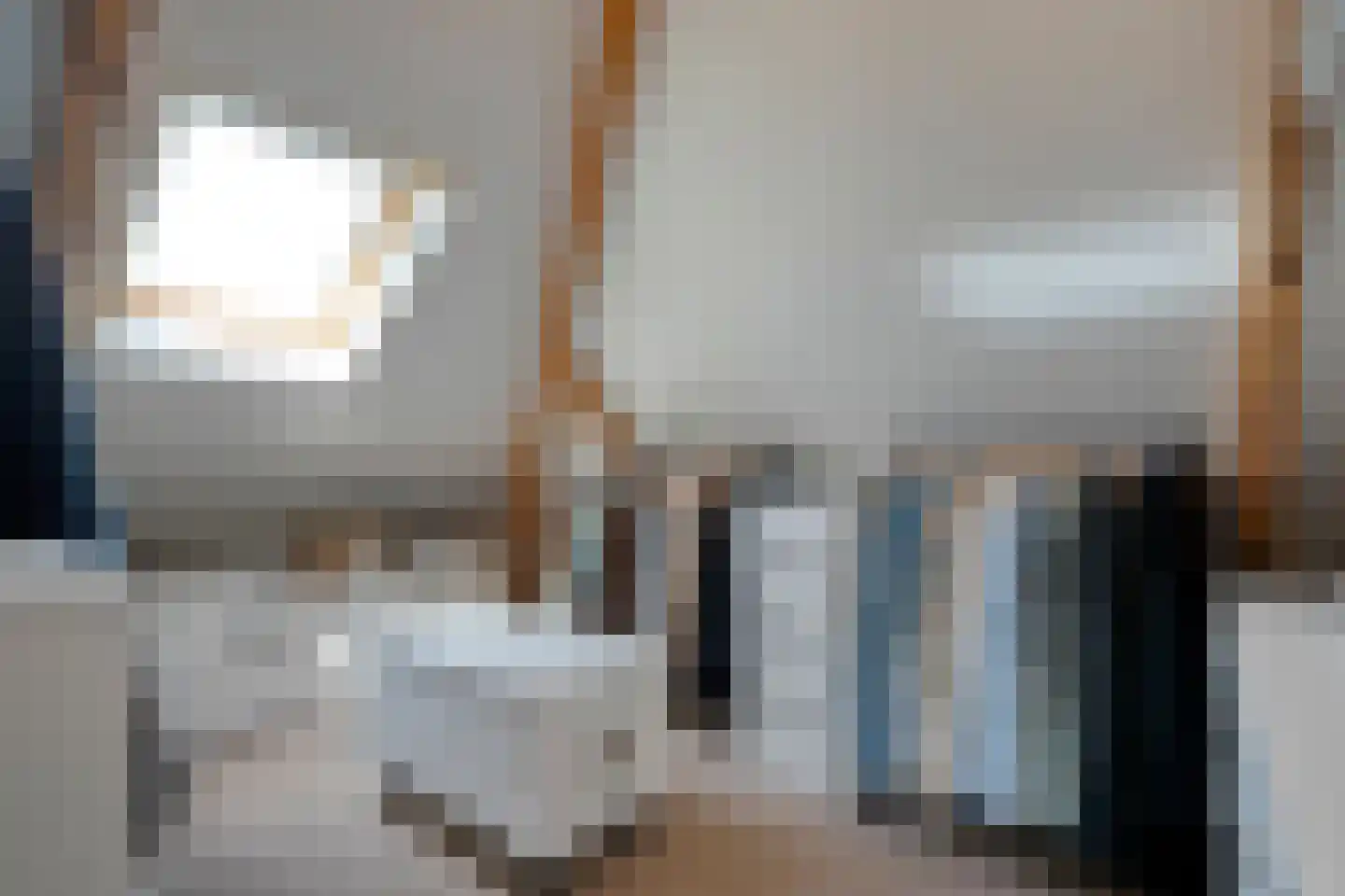 Dijkhuizen 49 Ruinerwold thumbnail 40