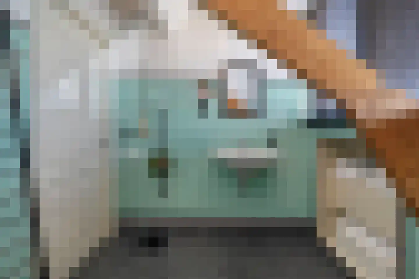 Dijkhuizen 49 Ruinerwold thumbnail 42