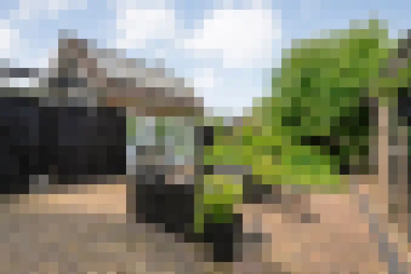 Dijkhuizen 49 Ruinerwold thumbnail 43